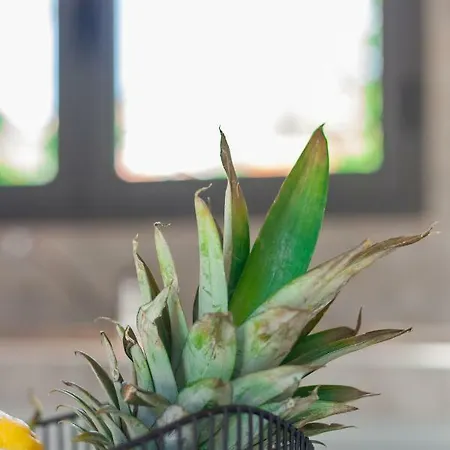 Luxury Summer House *